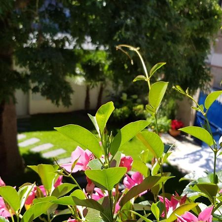 Villa Mary أمبُواز المظهر الخارجي الصورة