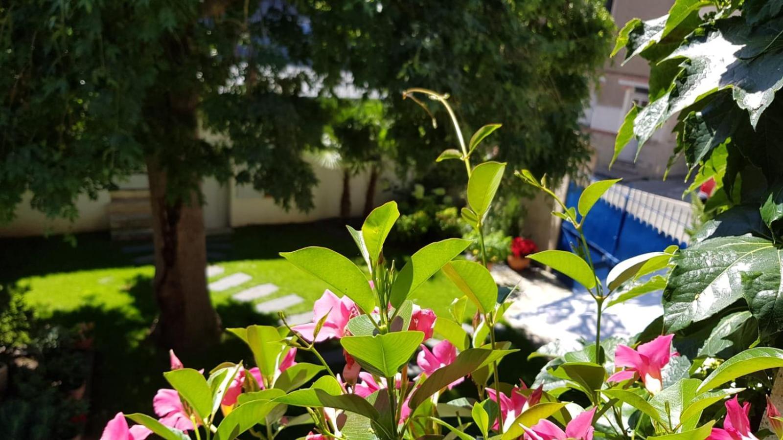 Villa Mary أمبُواز المظهر الخارجي الصورة
